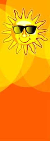SUNNY SUNGLASSES