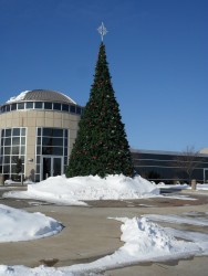 TANNENBAUM TOWER TREES - ALL NEW AND 100% MADE IN AMERICA