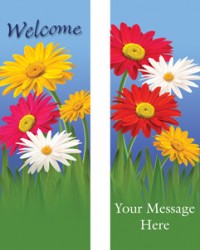 WELCOME DAISIES