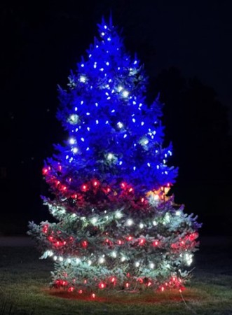 FLAG TREE