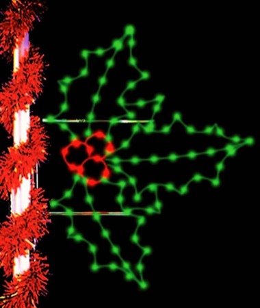 HOLLY CLUSTER