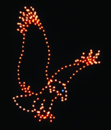 10' x 6' DESCENDING EAGLE