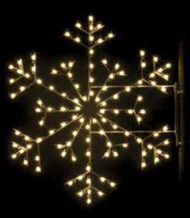 PRESIDENTIAL SNOWFLAKE