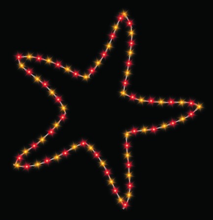 6' STARFISH