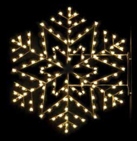 ARCTIC SNOWFLAKE