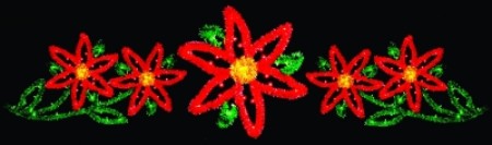 6' x 22' FIVE POINSETTIAS
