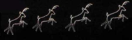 Reindeer in Flight