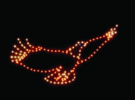 5' x 10' FLYING EAGLE