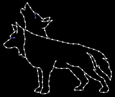 5 1/2' WOLF HOWLING, HEAD RAISED