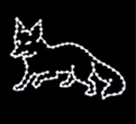 4' FOX
