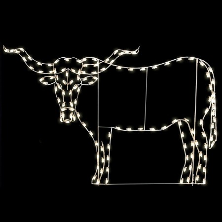 Texas Longhorn - Front Facing 