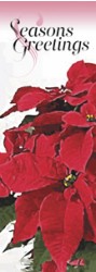 POTTED POINSETTIA
