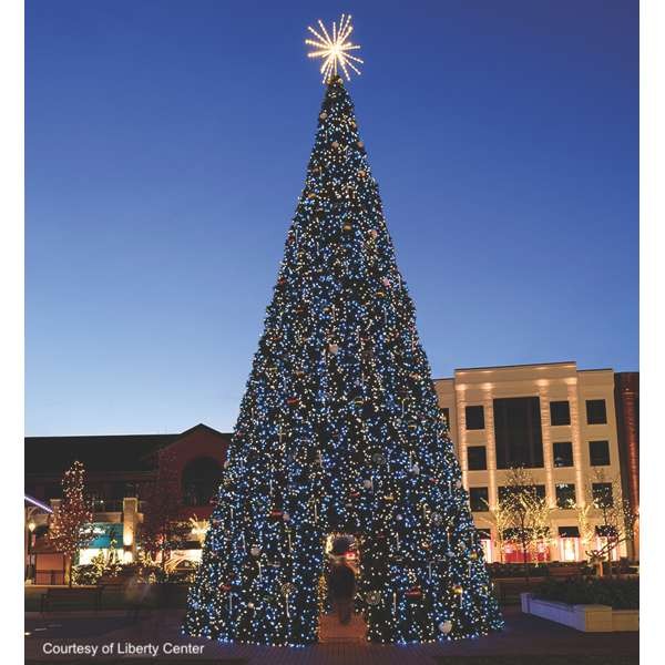 TANNENBAUM TOWER TREES