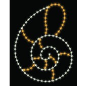 7 1/2' NAUTILUS SHELL