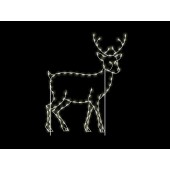 SILHOUETTE BUCK WALKING