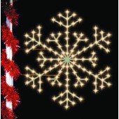 PRESIDENTIAL SNOWFLAKE