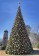 Tannenbaum Tree with Round Ornaments
