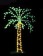 Small Palm Tree