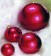 Red Metallic Ornaments