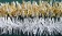 White/Gold (pvc/gold met mix) & White/Silver (pvc/silver met mix) Garlands
