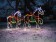 Clydesdale Horses - application shot