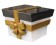 Black & White with Gold Bow