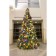 American Christmas Tree